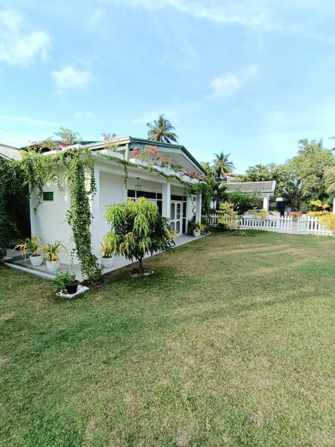 The Bamboo Tree Transit Hotel Katunayake Exterior photo